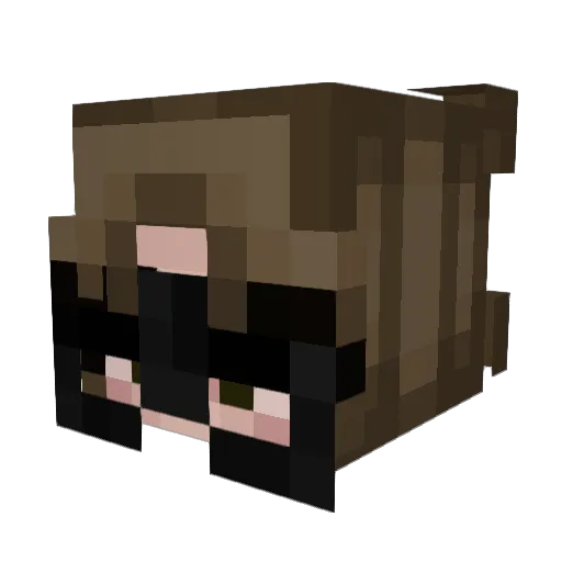brianuh Minecraft avatar head, 3D render