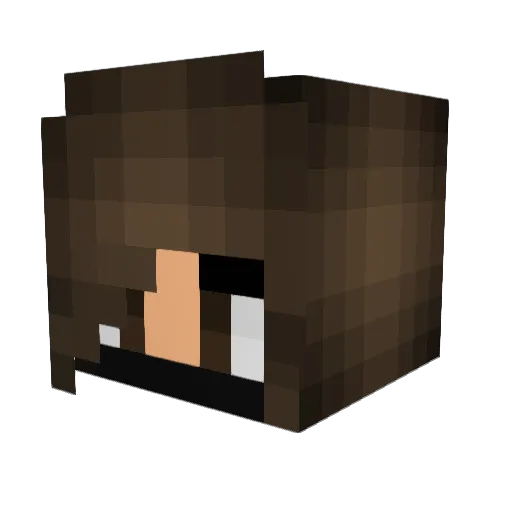 bribarns Minecraft avatar head, 3D render