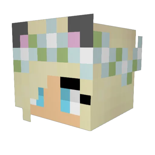 bribri655 Minecraft avatar head, 3D render