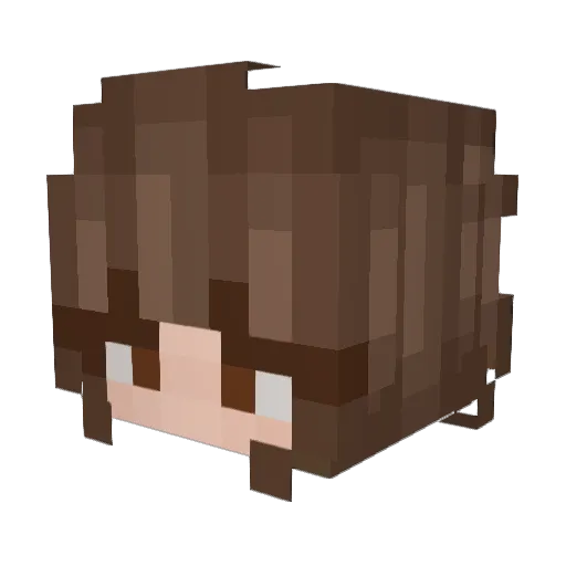 bribug7250 Minecraft avatar head, 3D render