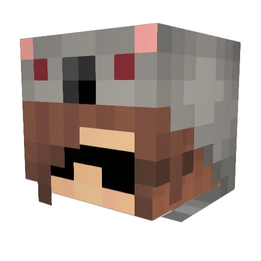 bricharvey Minecraft avatar head, 3D render