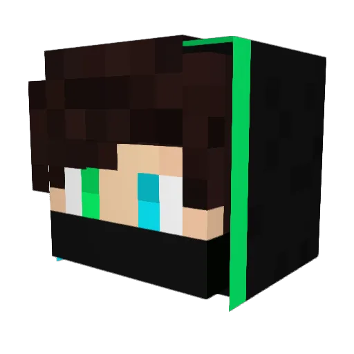 bricio0404 Minecraft avatar head, 3D render