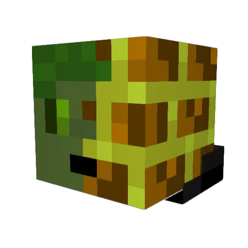 brickboy880 Minecraft avatar head, 3D render