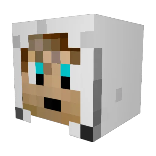 brickbuilds Minecraft avatar head, 3D render