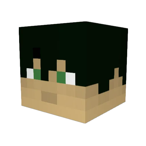 brickdude300 Minecraft avatar head, 3D render