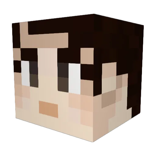 brickmaster42 Minecraft avatar head, 3D render