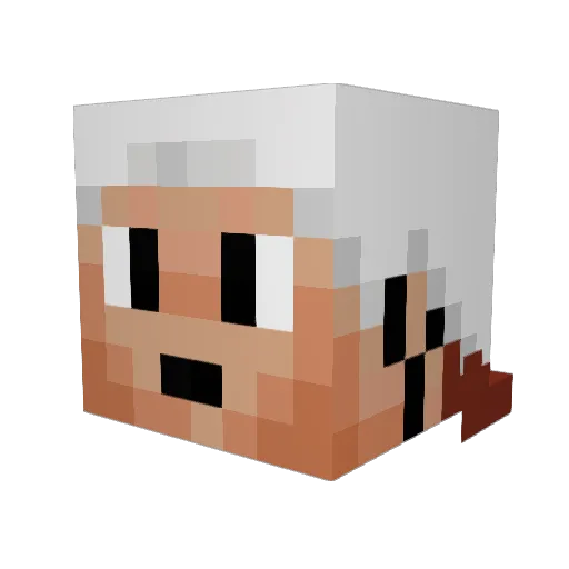 bridgeoftea Minecraft avatar head, 3D render