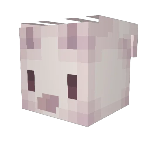 brieeeeeeeee Minecraft avatar head, 3D render