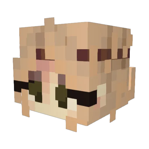 briellex Minecraft avatar head, 3D render