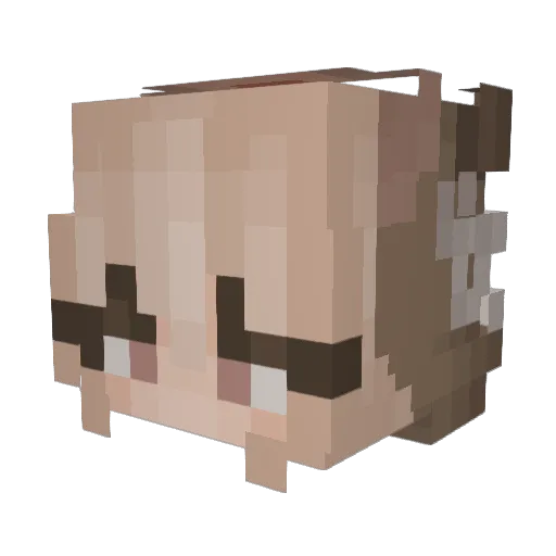 briezyrae Minecraft avatar head, 3D render