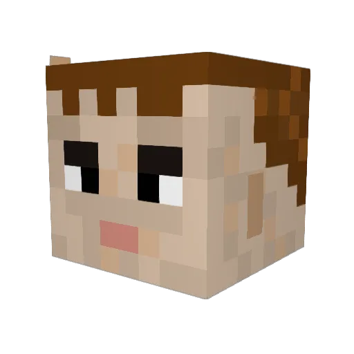 briggsyboy123 Minecraft avatar head, 3D render