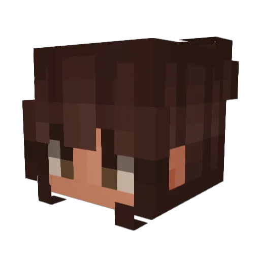 bright_lightsss Minecraft avatar head, 3D render