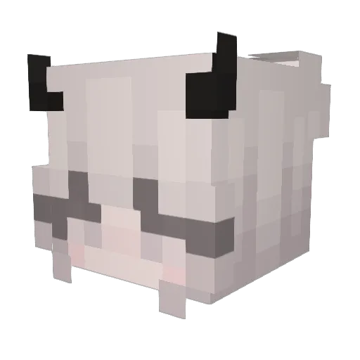 bright_mangler Minecraft avatar head, 3D render