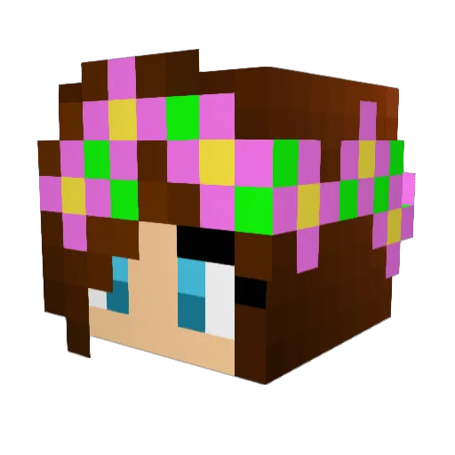 brightflower5 Minecraft avatar head, 3D render