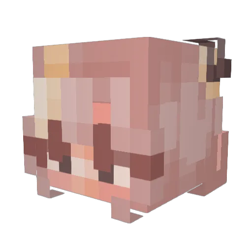 brightshade Minecraft avatar head, 3D render