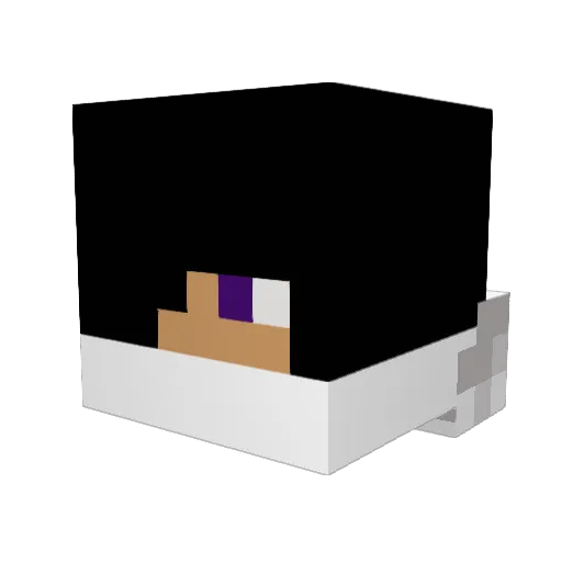 brightsun2 Minecraft avatar head, 3D render