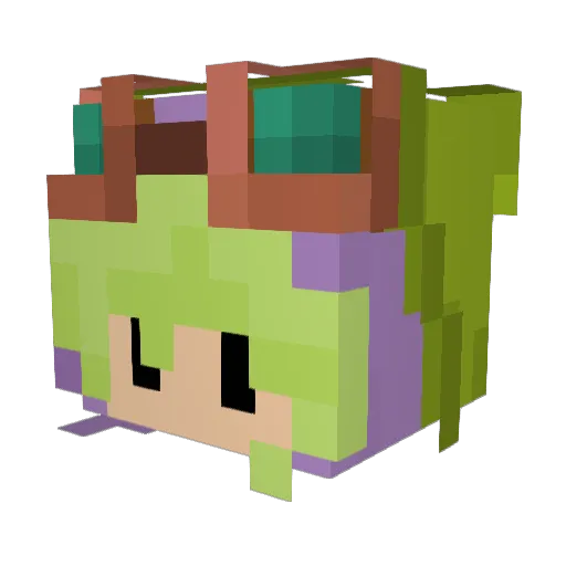 brightwisters Minecraft avatar head, 3D render