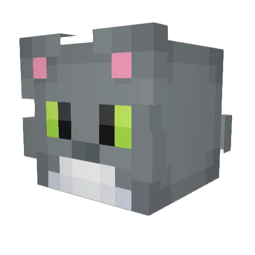 briguy123321 Minecraft avatar head, 3D render