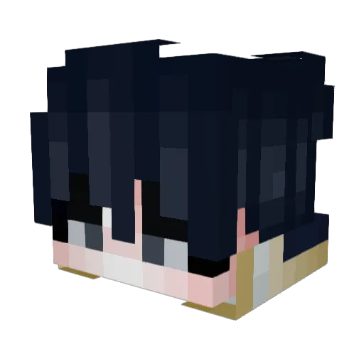 brihanlarranaga Minecraft avatar head, 3D render