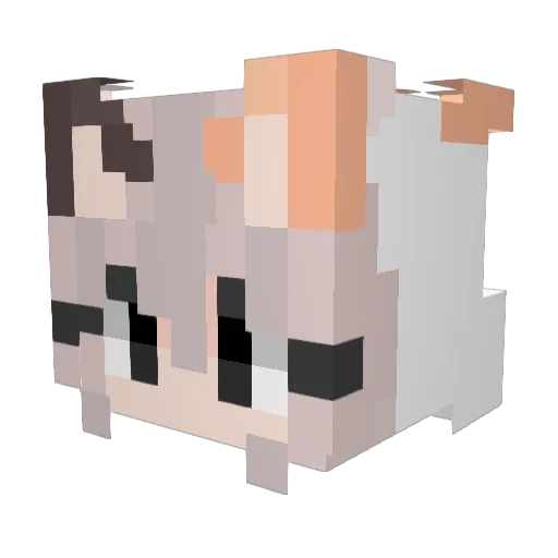 brihgd Minecraft avatar head, 3D render