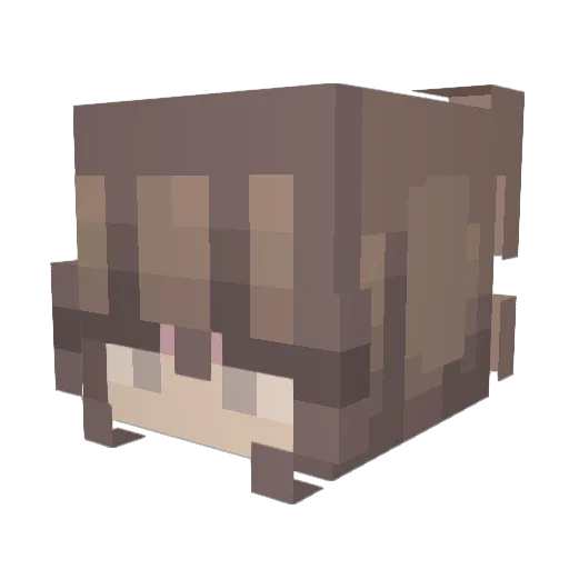 briibrii15 Minecraft avatar head, 3D render