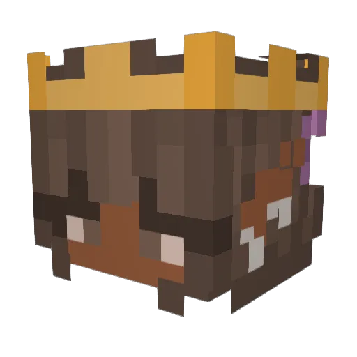 briit3rfly Minecraft avatar head, 3D render