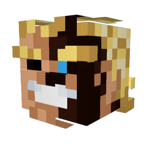 brileto Minecraft avatar head, 3D render