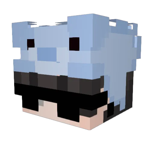 brillemand_ Minecraft avatar head, 3D render