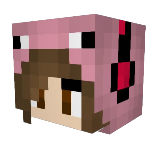 brilliantbiggles Minecraft avatar head, 3D render