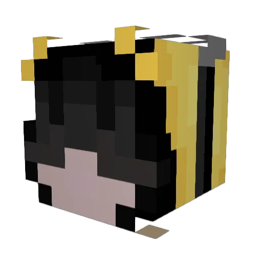 briluvsu Minecraft avatar head, 3D render