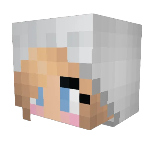 brilyn95 Minecraft avatar head, 3D render