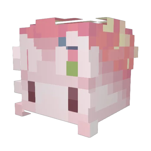 brimblesbrime Minecraft avatar head, 3D render