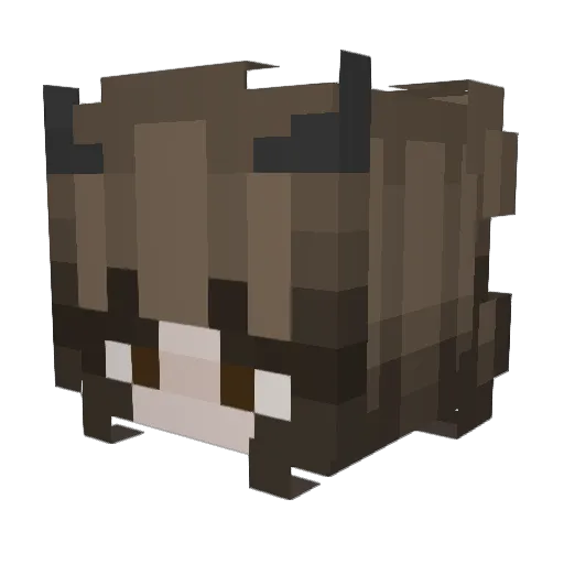 brinabubblez Minecraft avatar head, 3D render