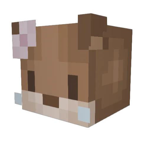 brinkoclinko Minecraft avatar head, 3D render