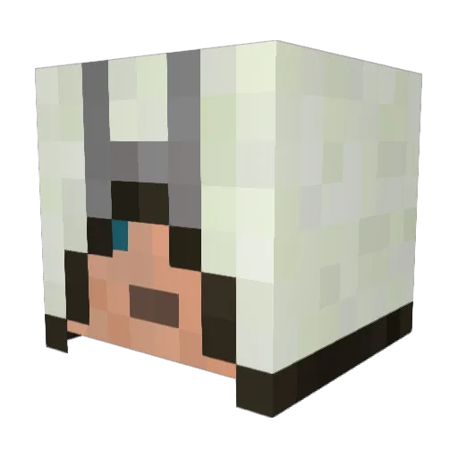 brinsingr55 Minecraft avatar head, 3D render