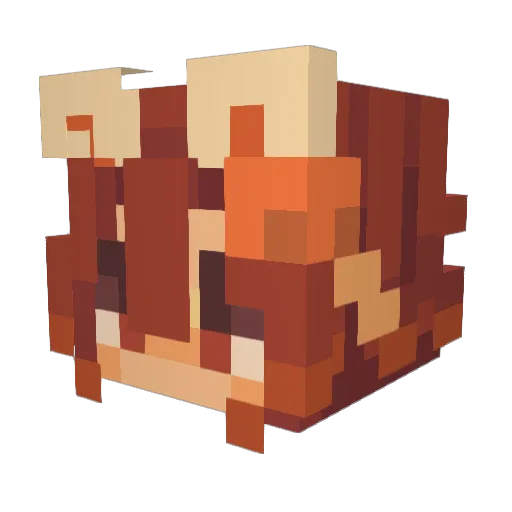 briochebear Minecraft avatar head, 3D render