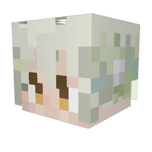 briquettas Minecraft avatar head, 3D render