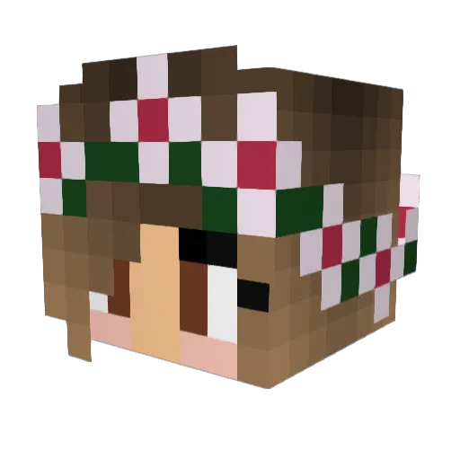 briridd Minecraft avatar head, 3D render