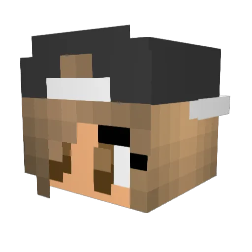 brisketsandwich3 Minecraft avatar head, 3D render