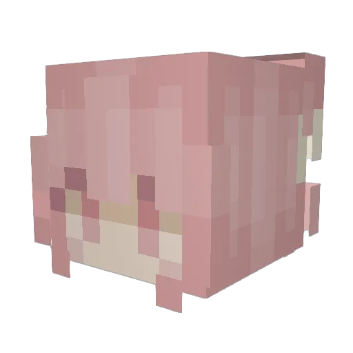britheswag Minecraft avatar head, 3D render