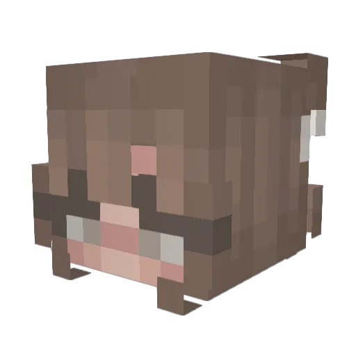 britknee312 Minecraft avatar head, 3D render