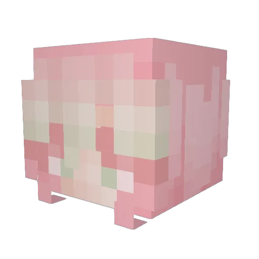 brizzybrat Minecraft avatar head, 3D render