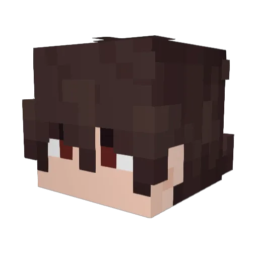 brnS2_ Minecraft avatar head, 3D render
