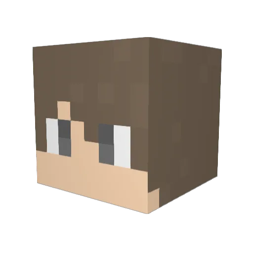 brn_0516 Minecraft avatar head, 3D render