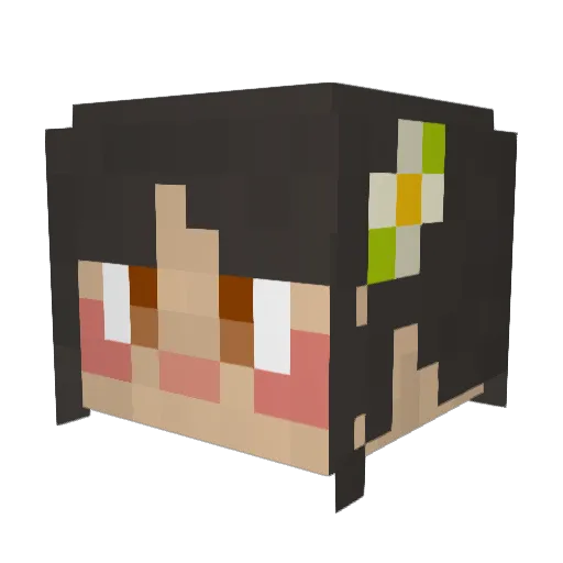 brnburn Minecraft avatar head, 3D render
