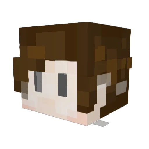 brnie Minecraft avatar head, 3D render