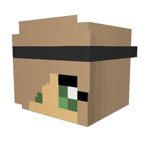 brnzilla550 Minecraft avatar head, 3D render