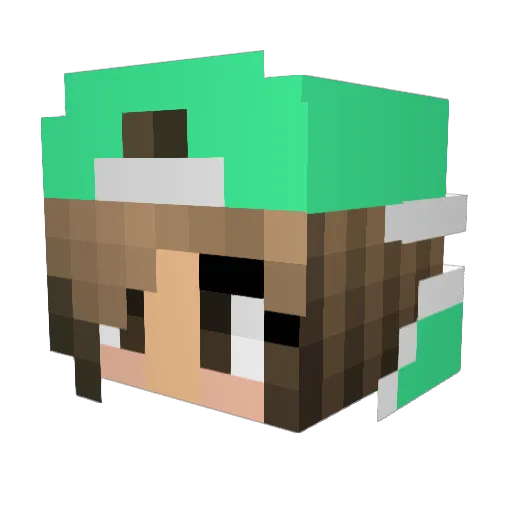 bro2907 Minecraft avatar head, 3D render