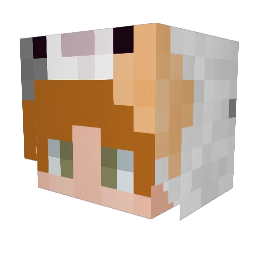 brobyyy Minecraft avatar head, 3D render