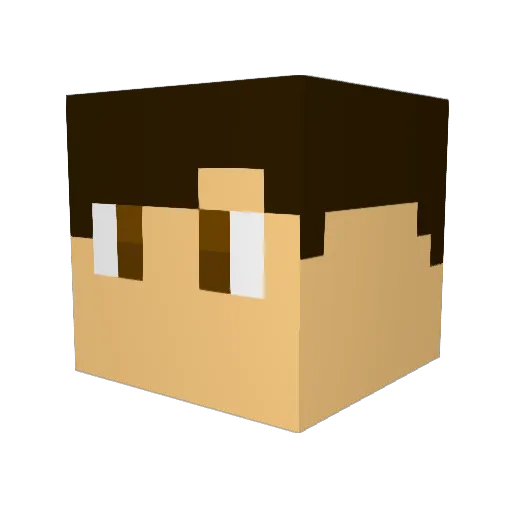broco1 Minecraft avatar head, 3D render